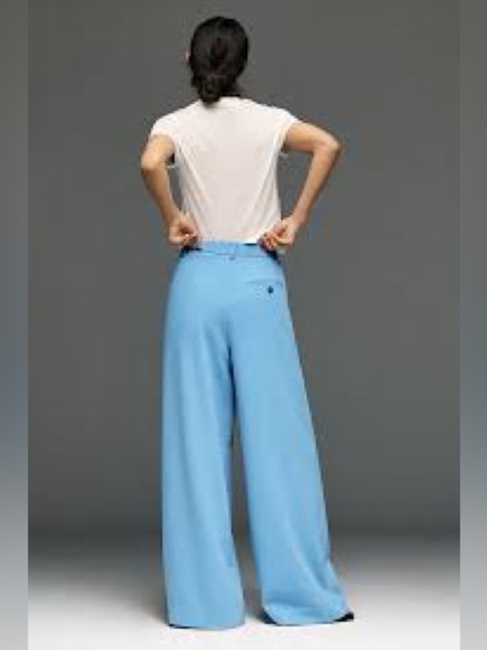Anthropologie NWT Avery Wide-Leg Pleated Trousers by Maeve - M - Picture 3 of 16